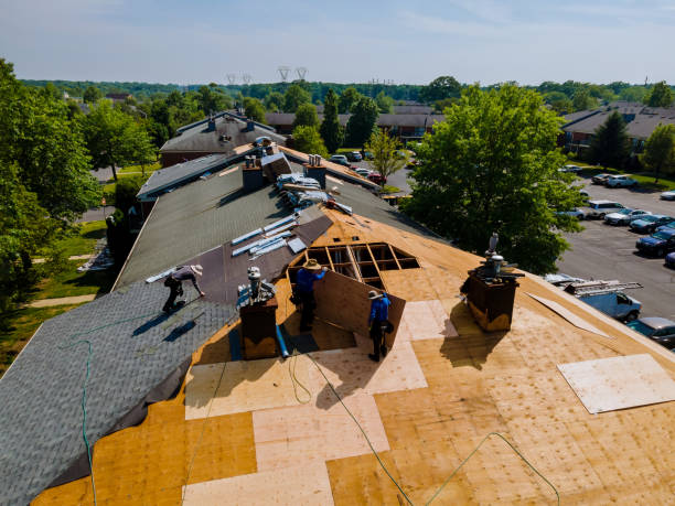 Best Storm Damage Roof Repair  in Marion, IA