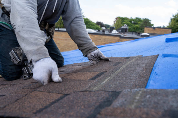 Best Commercial Roofing Services  in Marion, IA