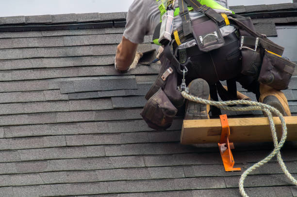 Best Roof Gutter Cleaning  in Marion, IA